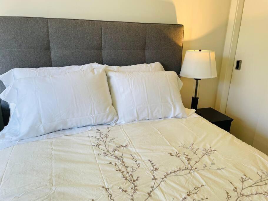 Spacious Downtown 2 Bedroom Condo With Pool And Air Conditioning Victoria Exterior photo