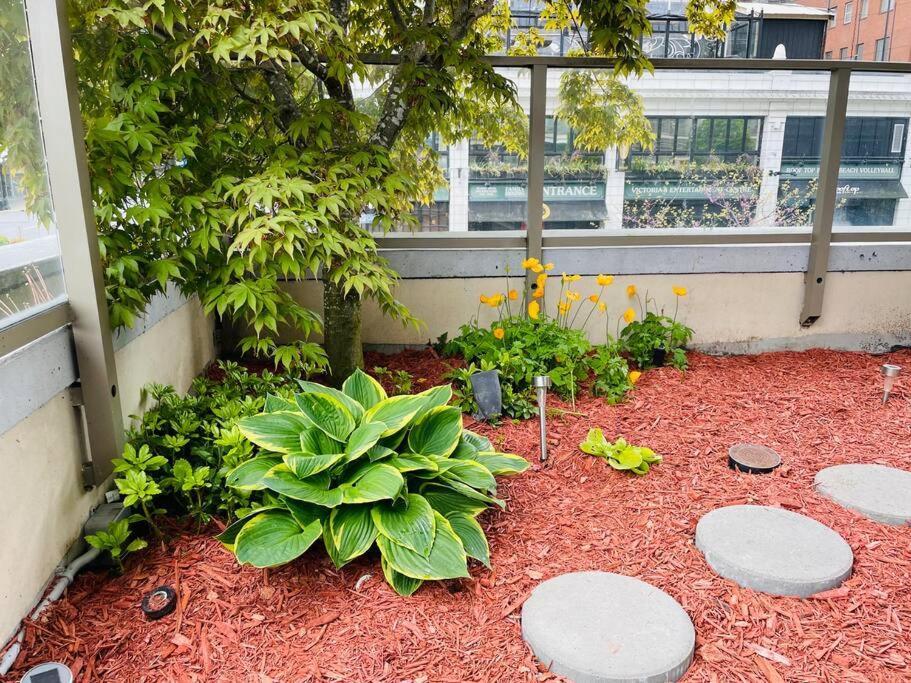 Spacious Downtown 2 Bedroom Condo With Pool And Air Conditioning Victoria Exterior photo